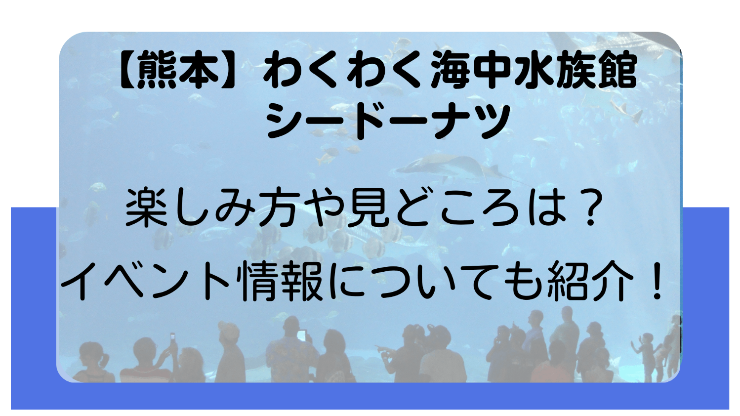 【熊本】わくわく海中水族館シードーナツの楽しみ方や見どころは？イベント情報についても紹介！　のイメージ画像